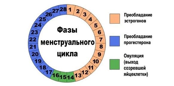 прогестерон по неделям беременности 